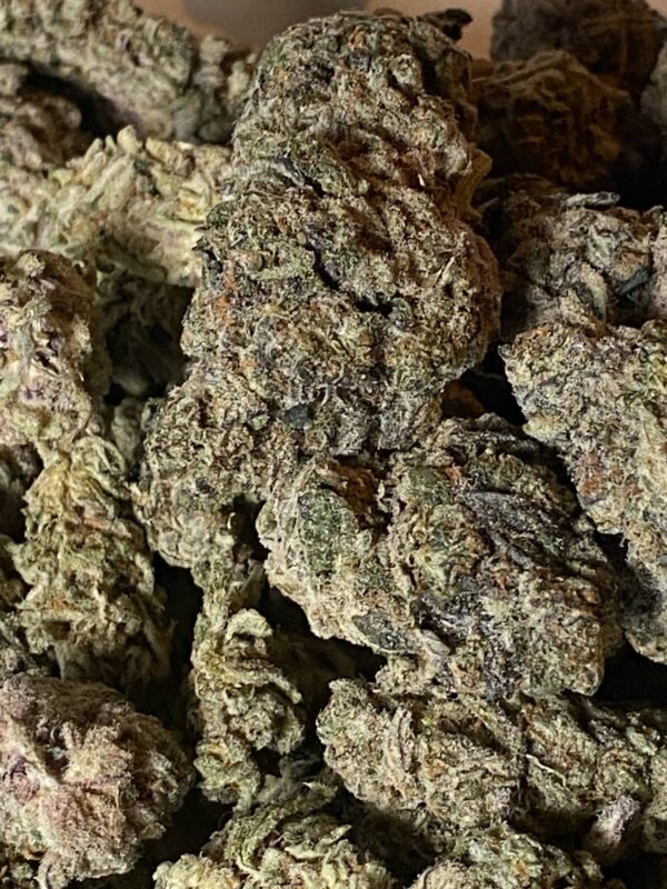 Panama Red #2 (4) Panama Red #2 THCA Flower