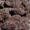 Pineapple Pez THCA Flower