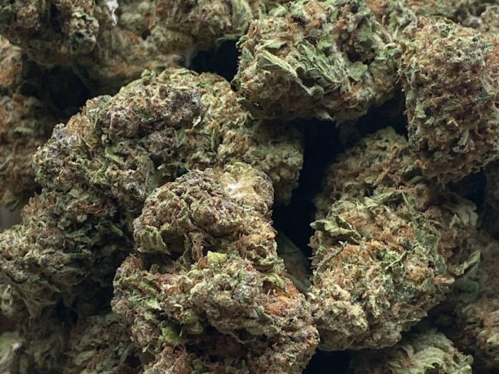 Purple Punch THCA Flower