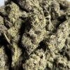 Blizzard Berry THCA Flower