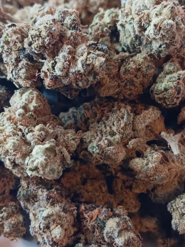 Durban Poison #2 (4) Durban Poison #2 THCA Flower