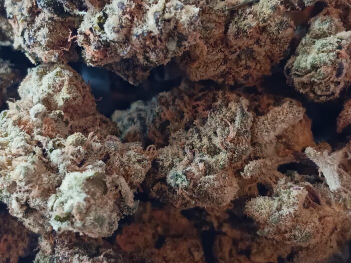 Durban Poison #2 THCA Flower