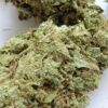 Acupulco Gold pics (1) Acapulco Gold THCA Flower