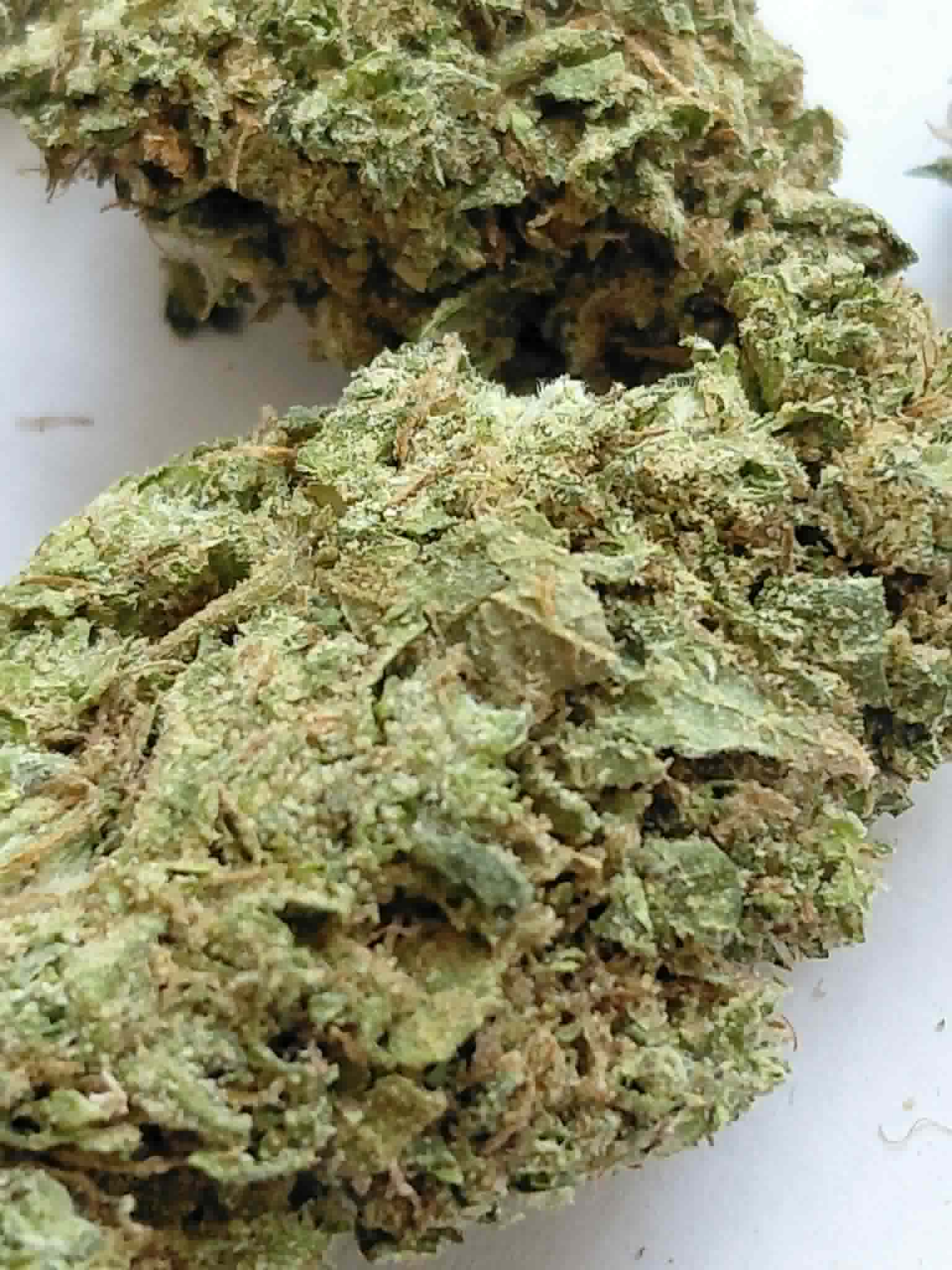 Acupulco Gold pics (1) Acapulco Gold THCA Flower