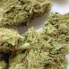 Acupulco Gold pics (2) Acapulco Gold THCA Flower