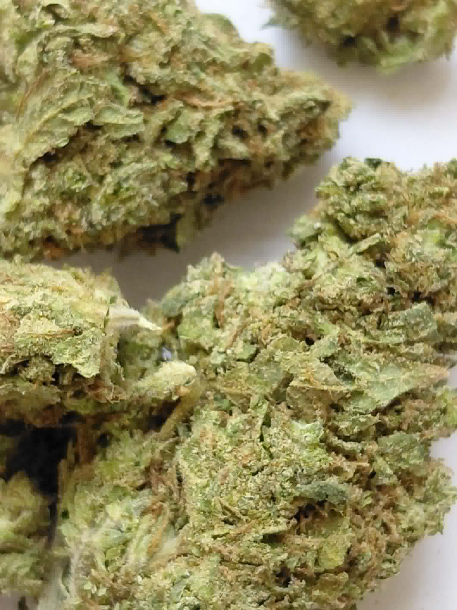Acupulco Gold pics (2) Acapulco Gold THCA Flower