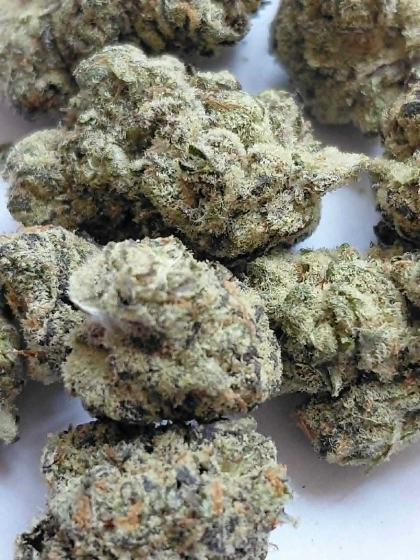 Afghani THCA Flower
