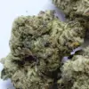 Afghani THCA Flower