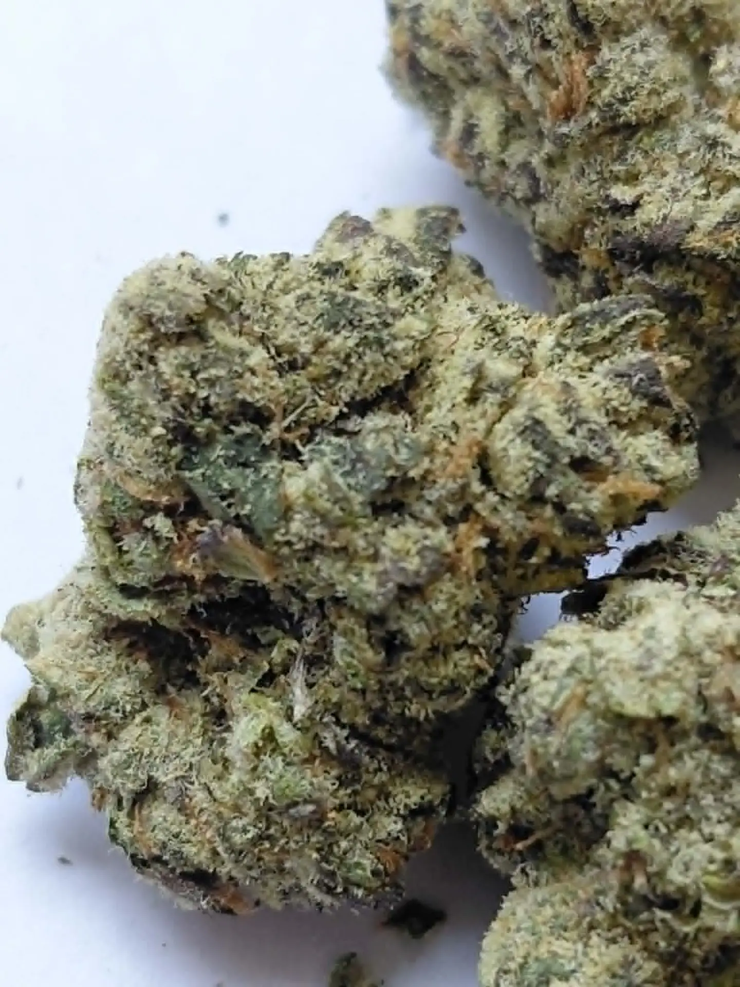 Afghani THCA Flower