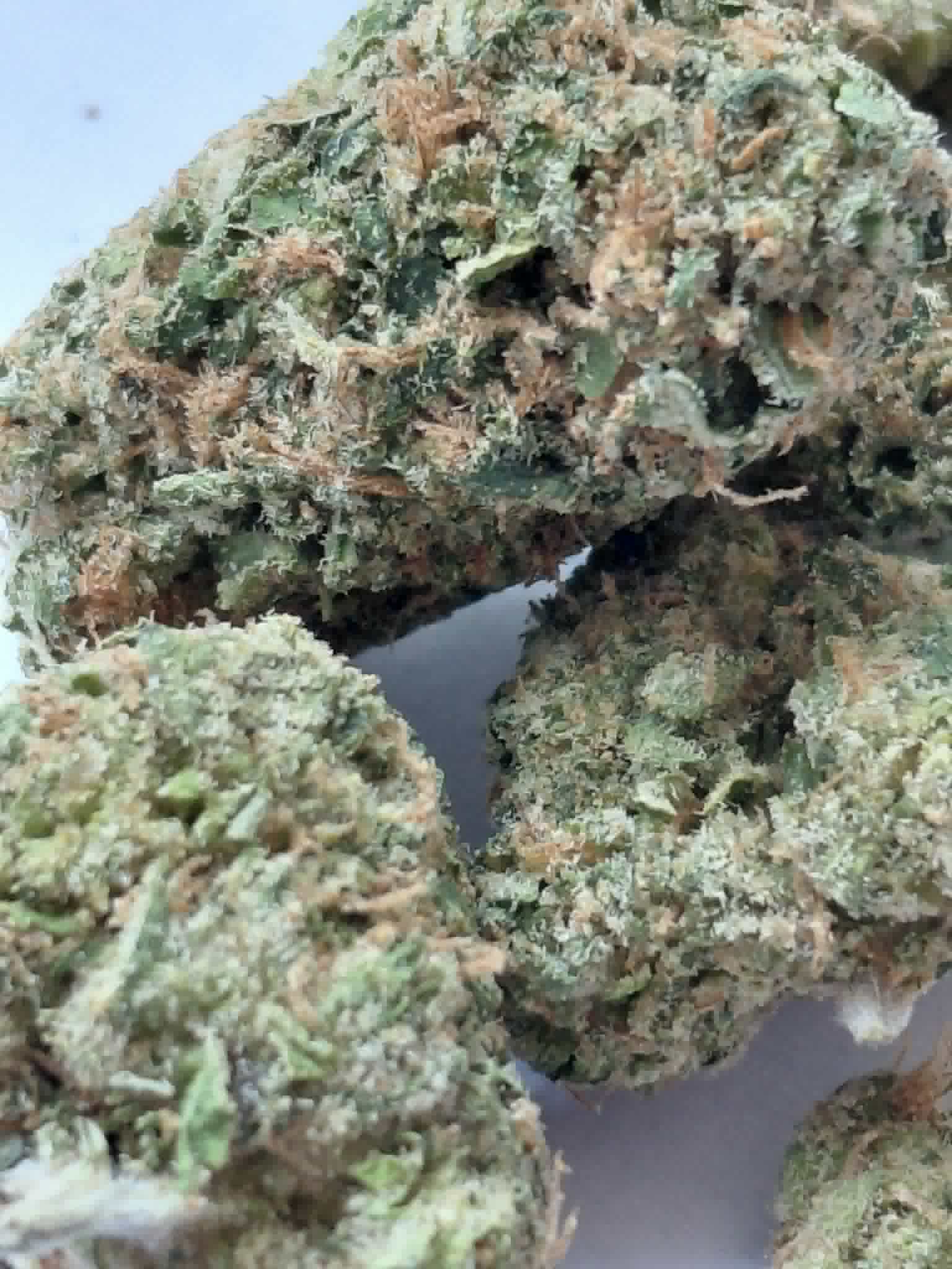 Alaskan Thunder Fuck THCA Flower