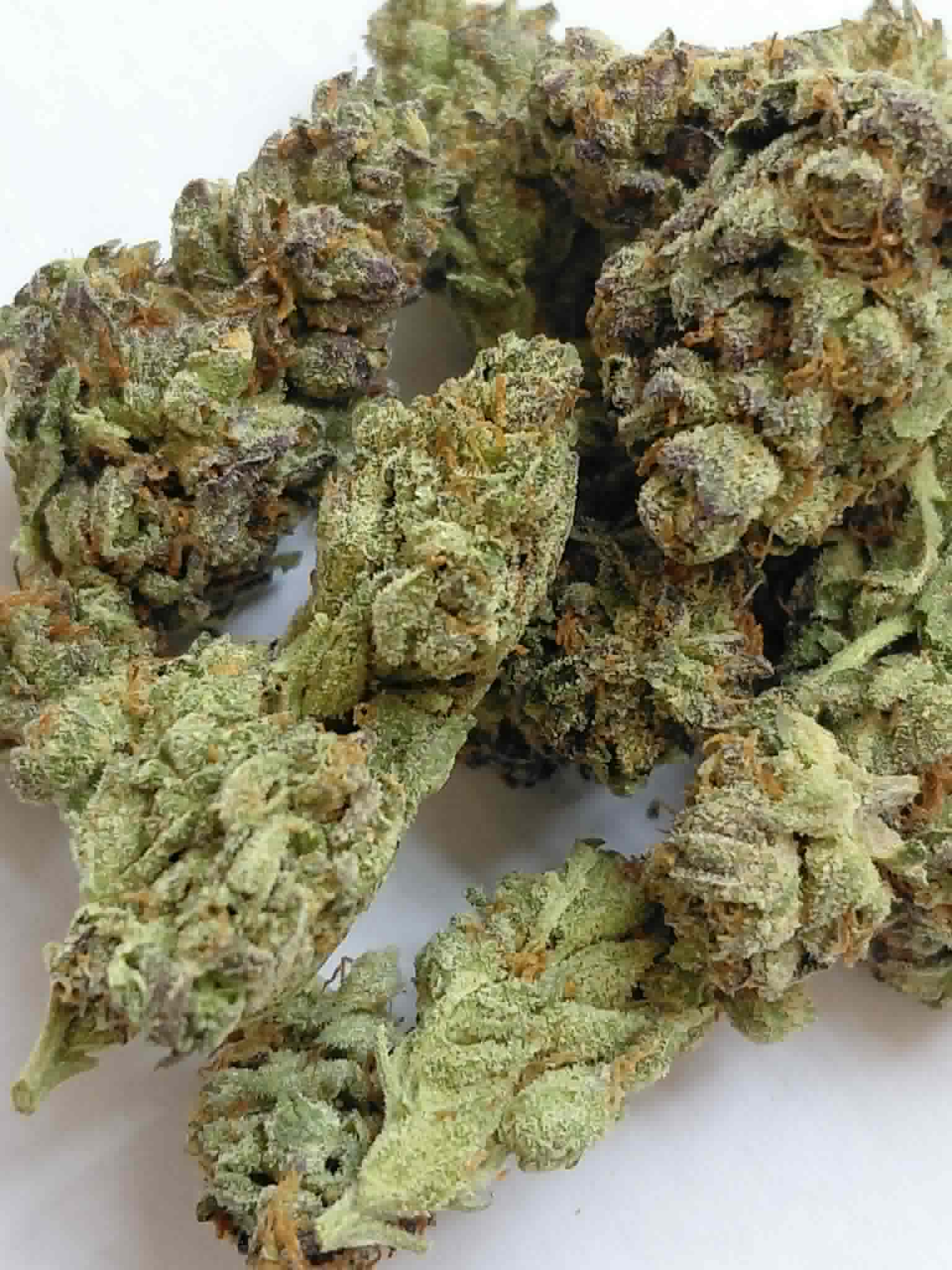 Birthday Cake pics (2) Birthday Cake THCA Flower