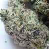 Blueberry Sugar THCA Flower