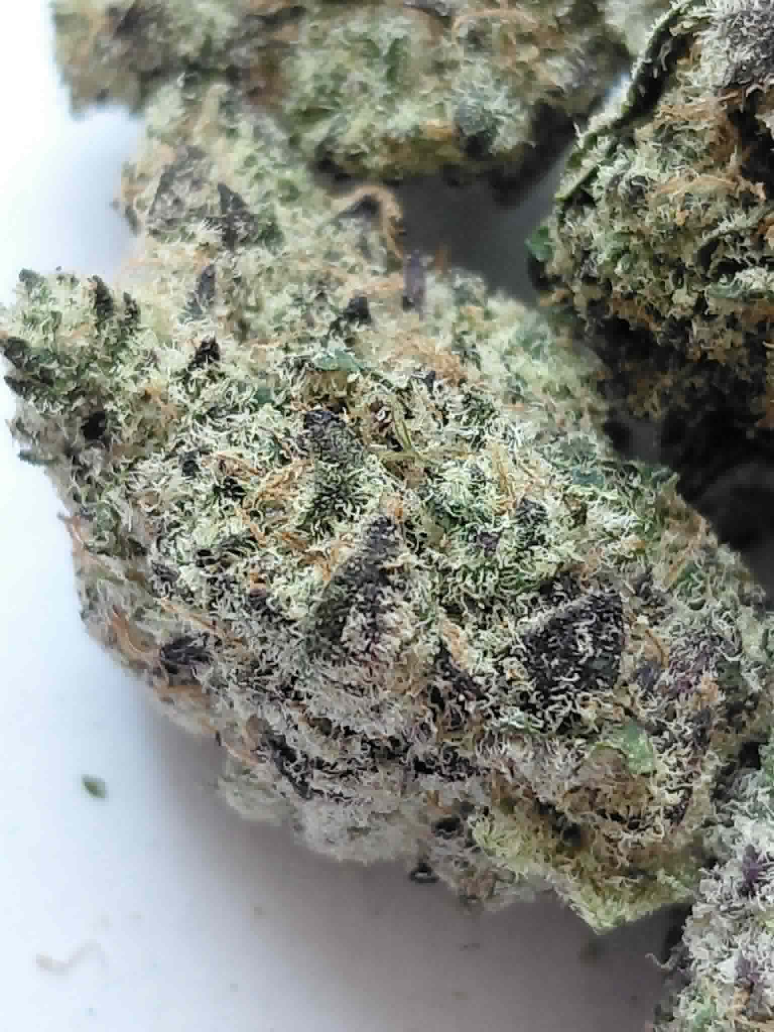 Blueberry Sugar THCA Flower