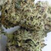 Blueberry Sugar THCA Flower