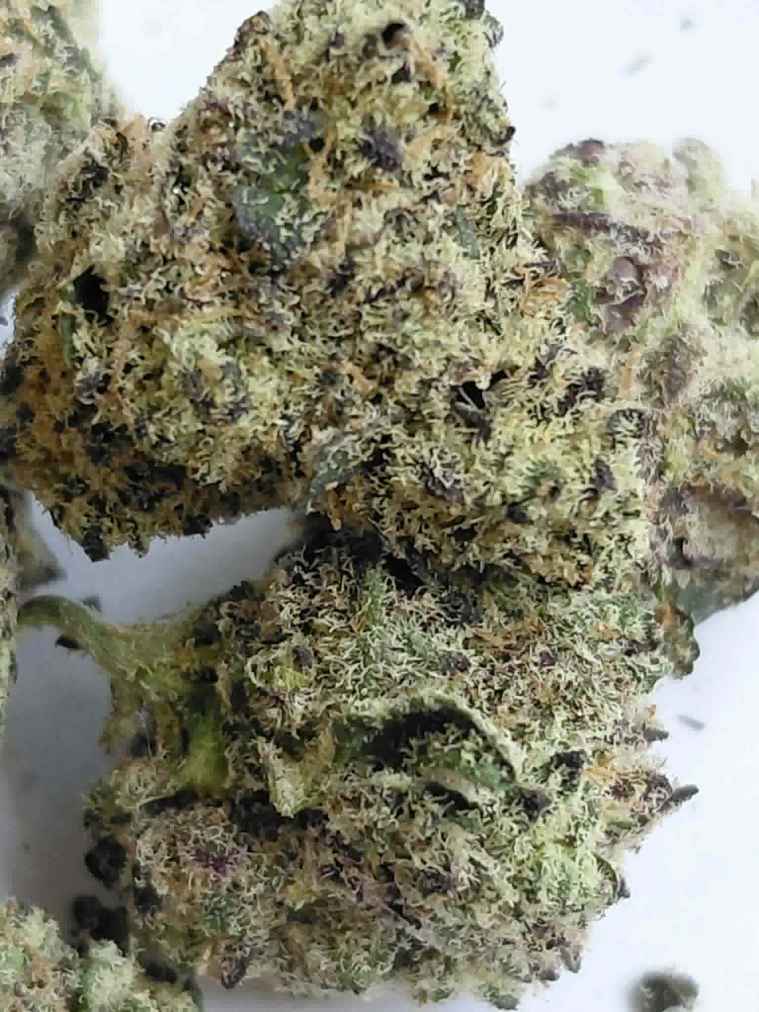 Blueberry Sugar THCA Flower