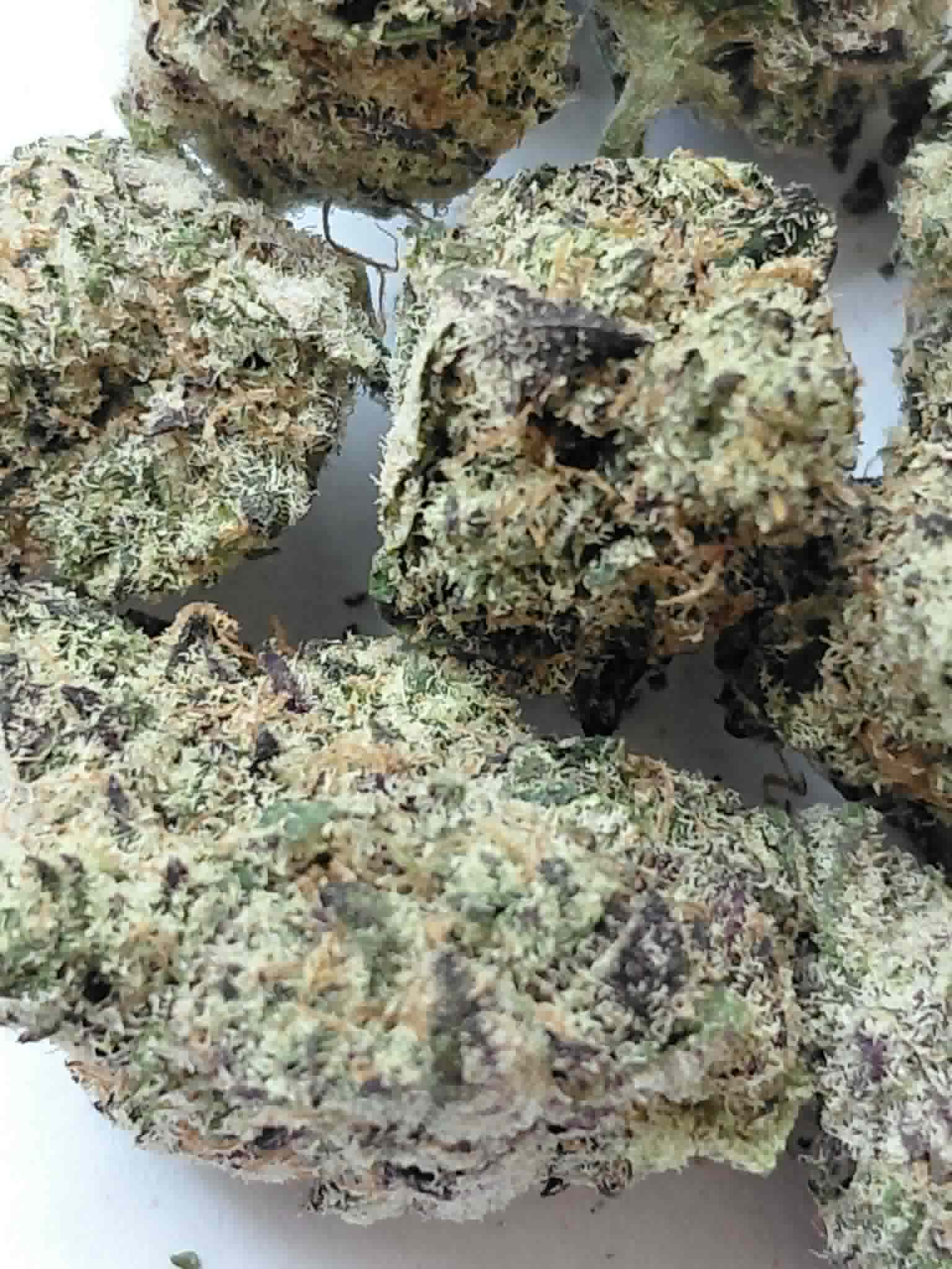 Blueberry Sugar THCA Flower