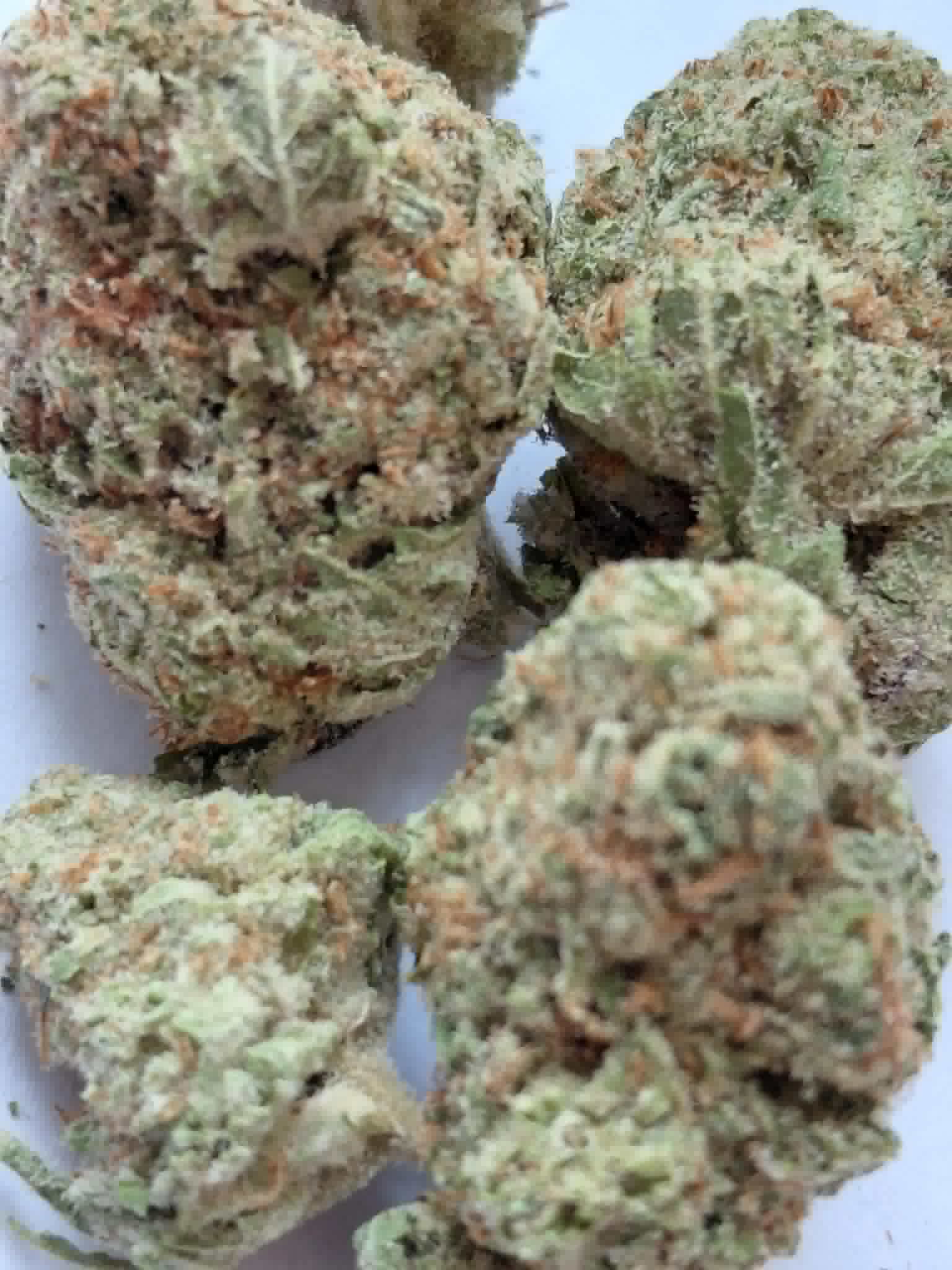 Columbian Gold pics (1) Colombian Gold THCA Flower