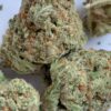 Columbian Gold pics (3) Colombian Gold THCA Flower