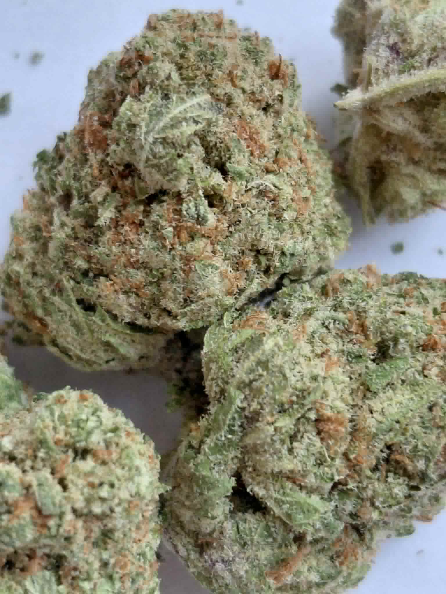 Columbian Gold pics (3) Colombian Gold THCA Flower