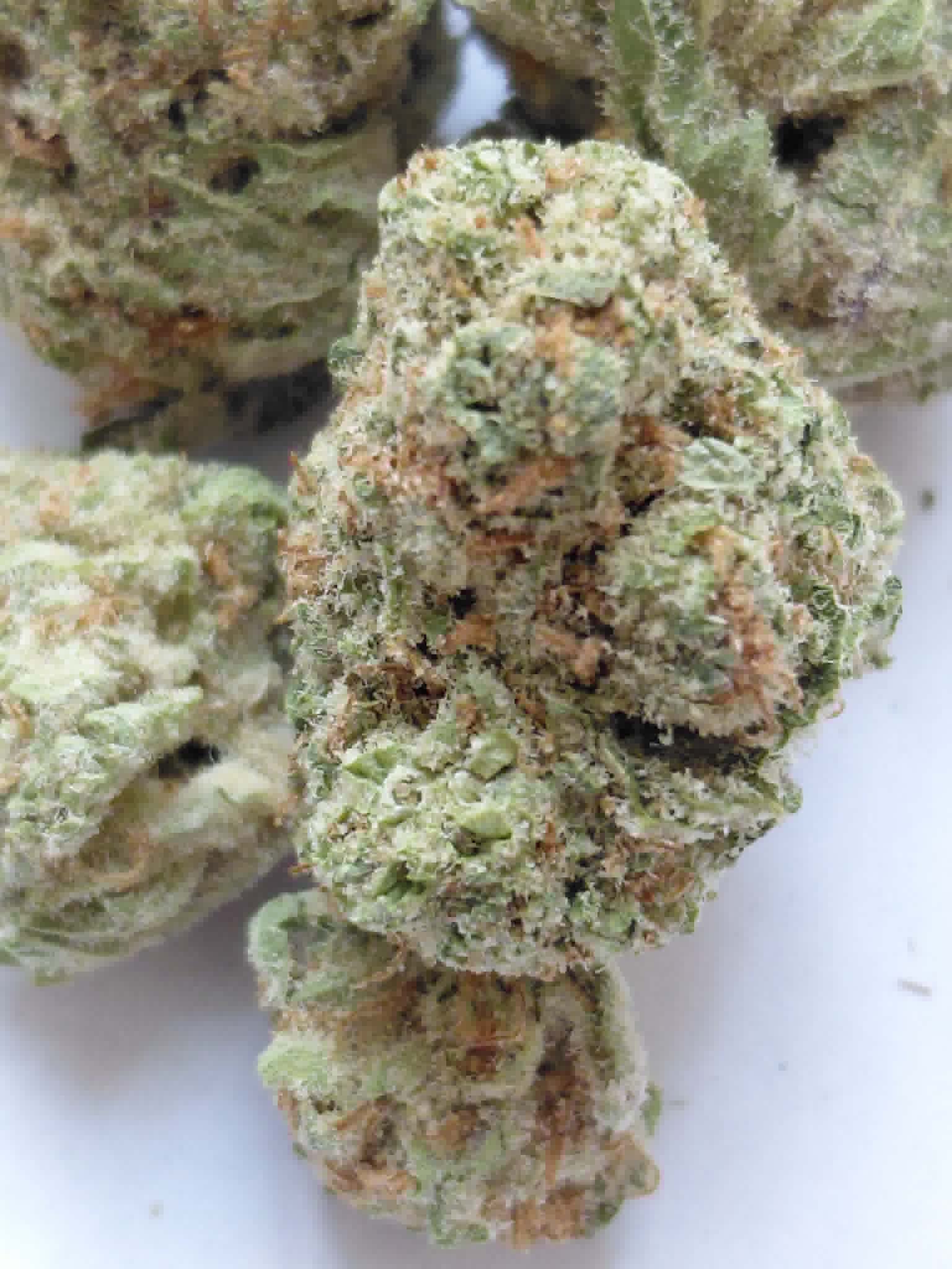 Columbian Gold pics (4) Colombian Gold THCA Flower