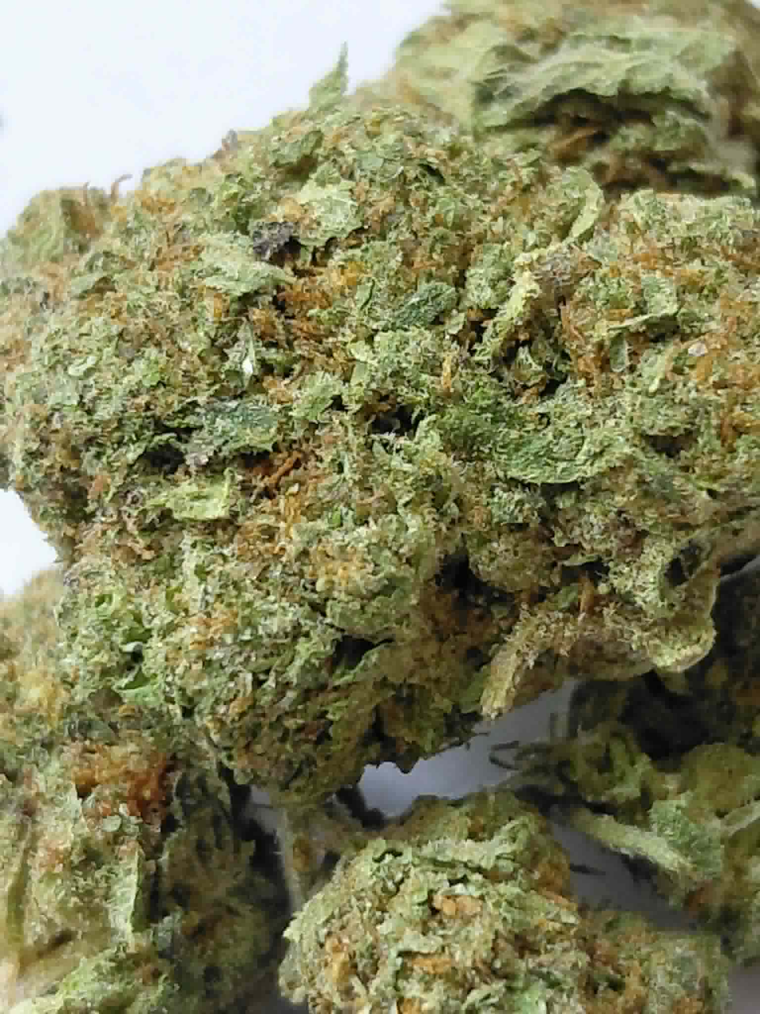Gorilla Glue THCA Flower