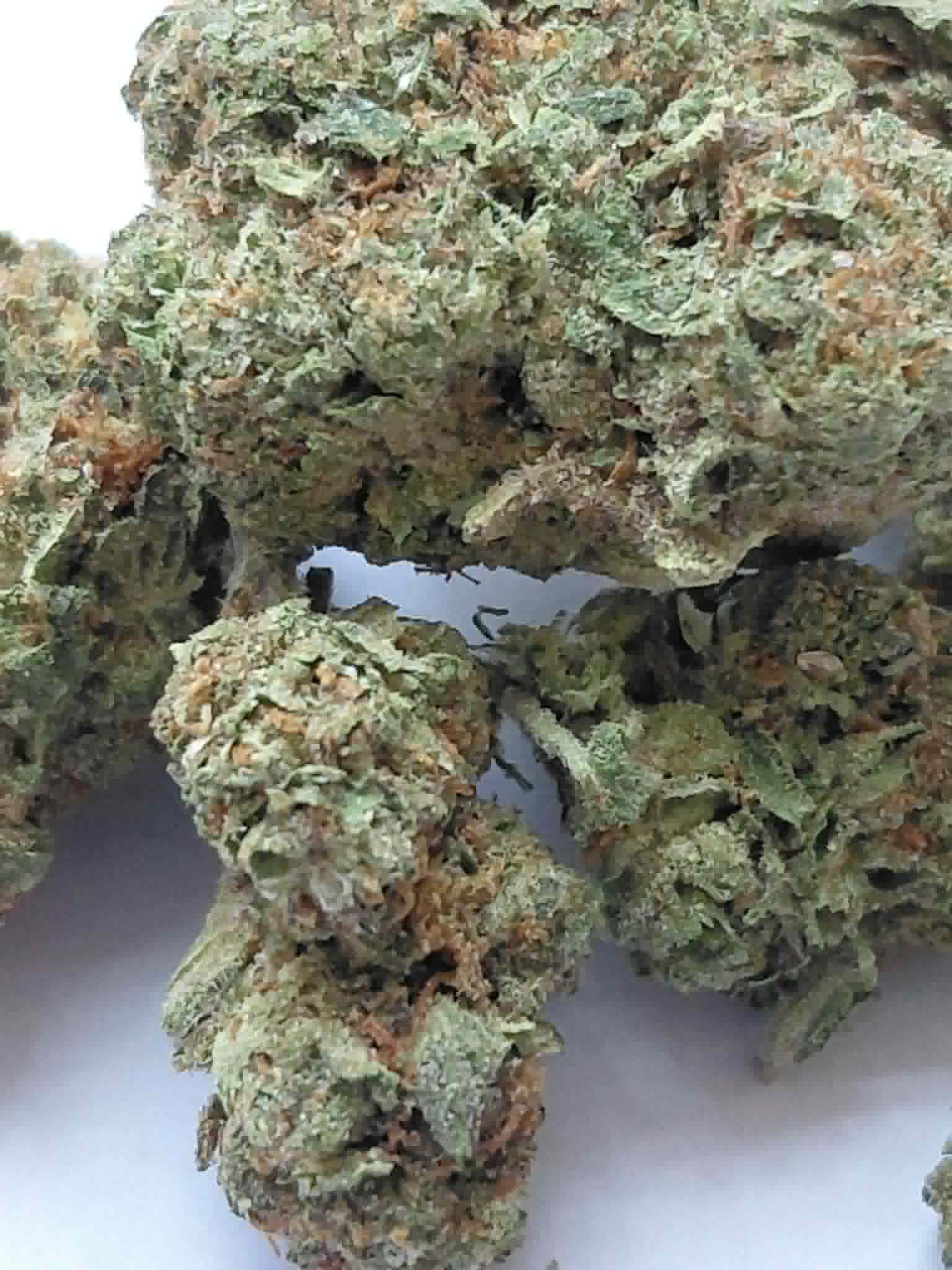 Gorilla Glue THCA Flower