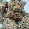 Gary Payton THCA Flower