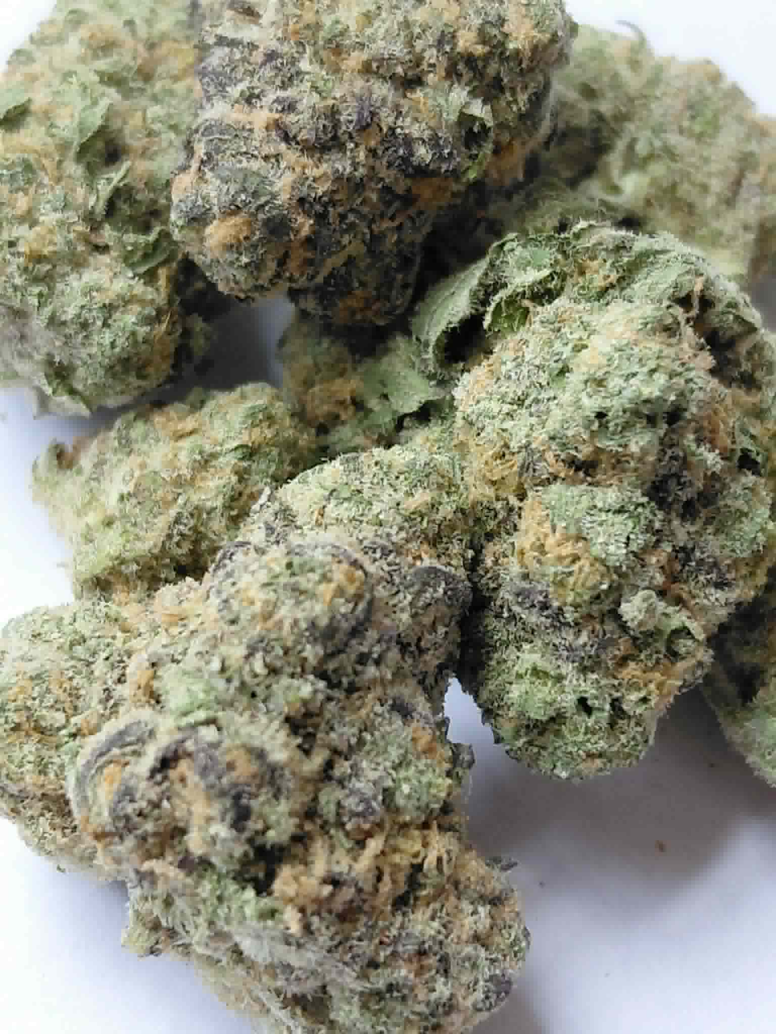 Hindu Kush pics (3) Hindu Kush THCA Flower