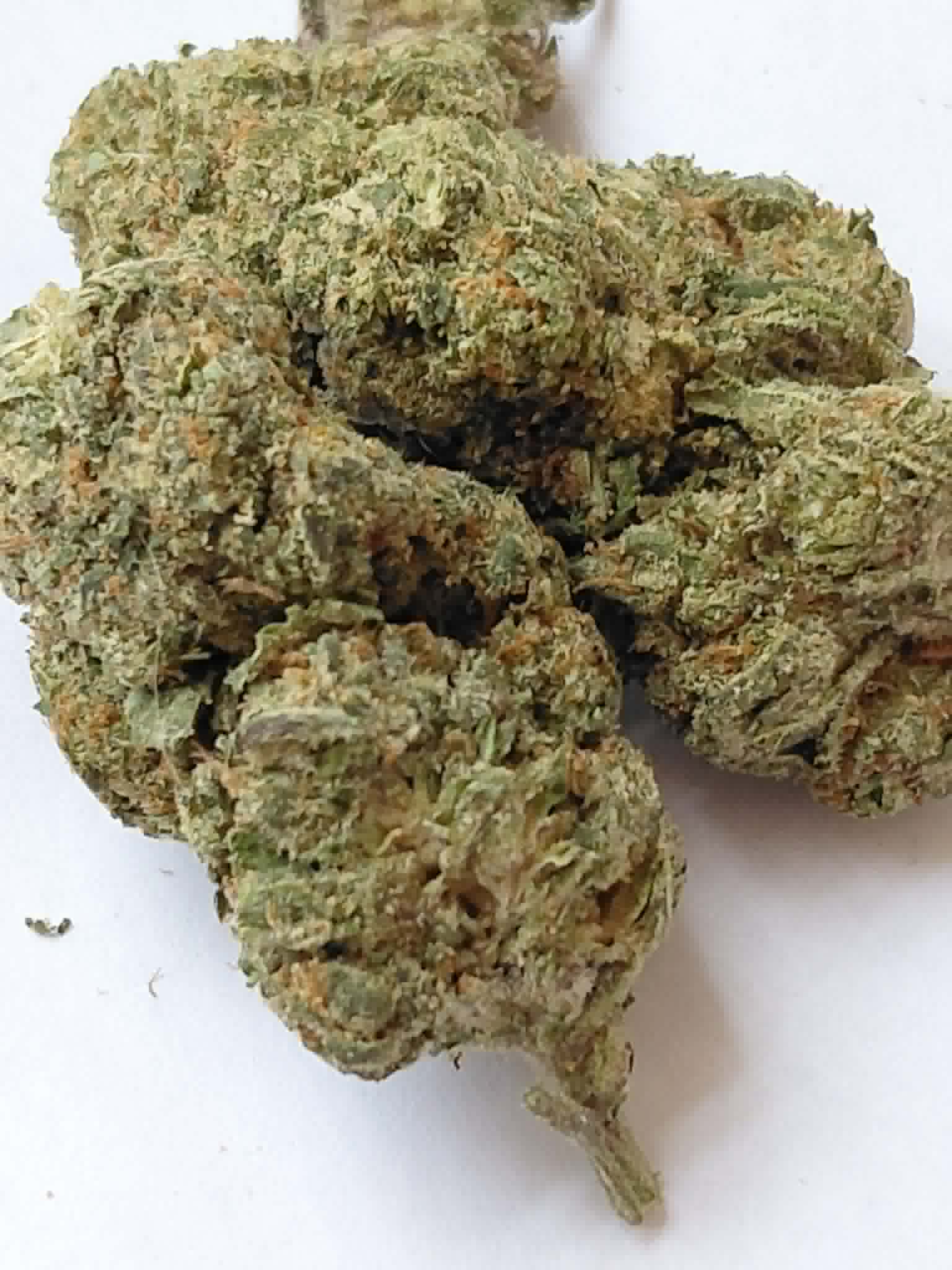 Kosher Kush THCA Flower