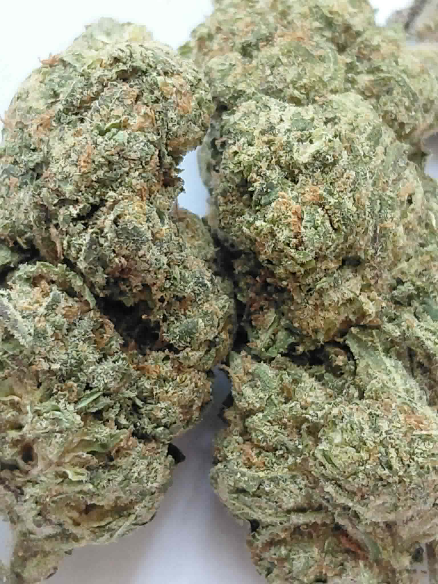 Kosher Kush THCA Flower