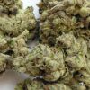 Lemon Cherry Gelato THCA Flower