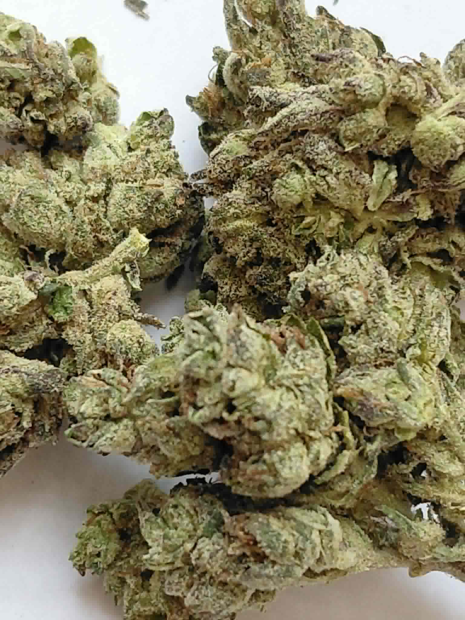 Lemon Cherry Gelato THCA Flower