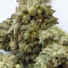 Lemon Cherry Gelato THCA Flower