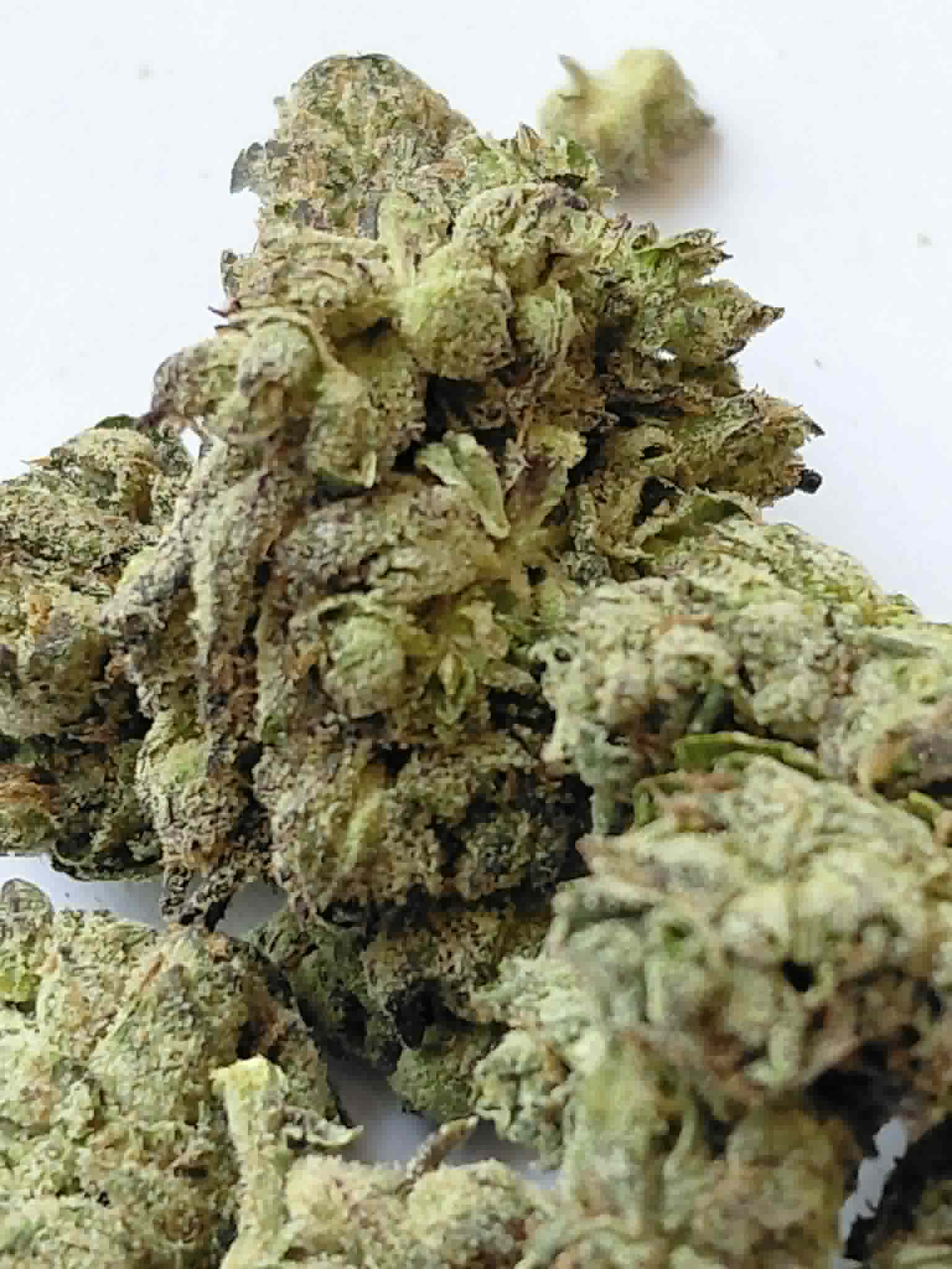 Lemon Cherry Gelato THCA Flower