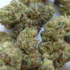 Maui Wowie THCA Flower