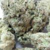 Panama Red THCA Flower