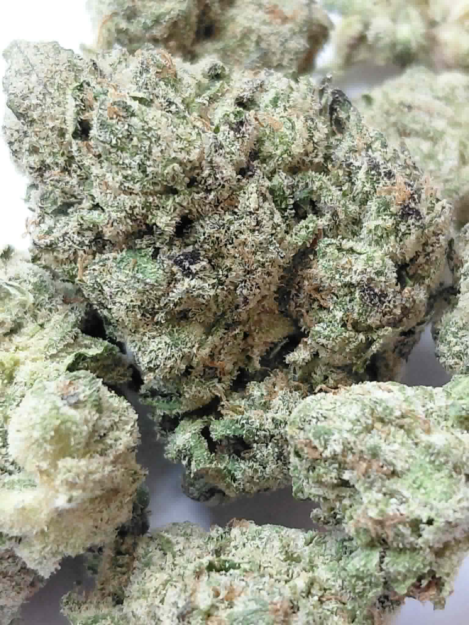 Panama Red THCA Flower