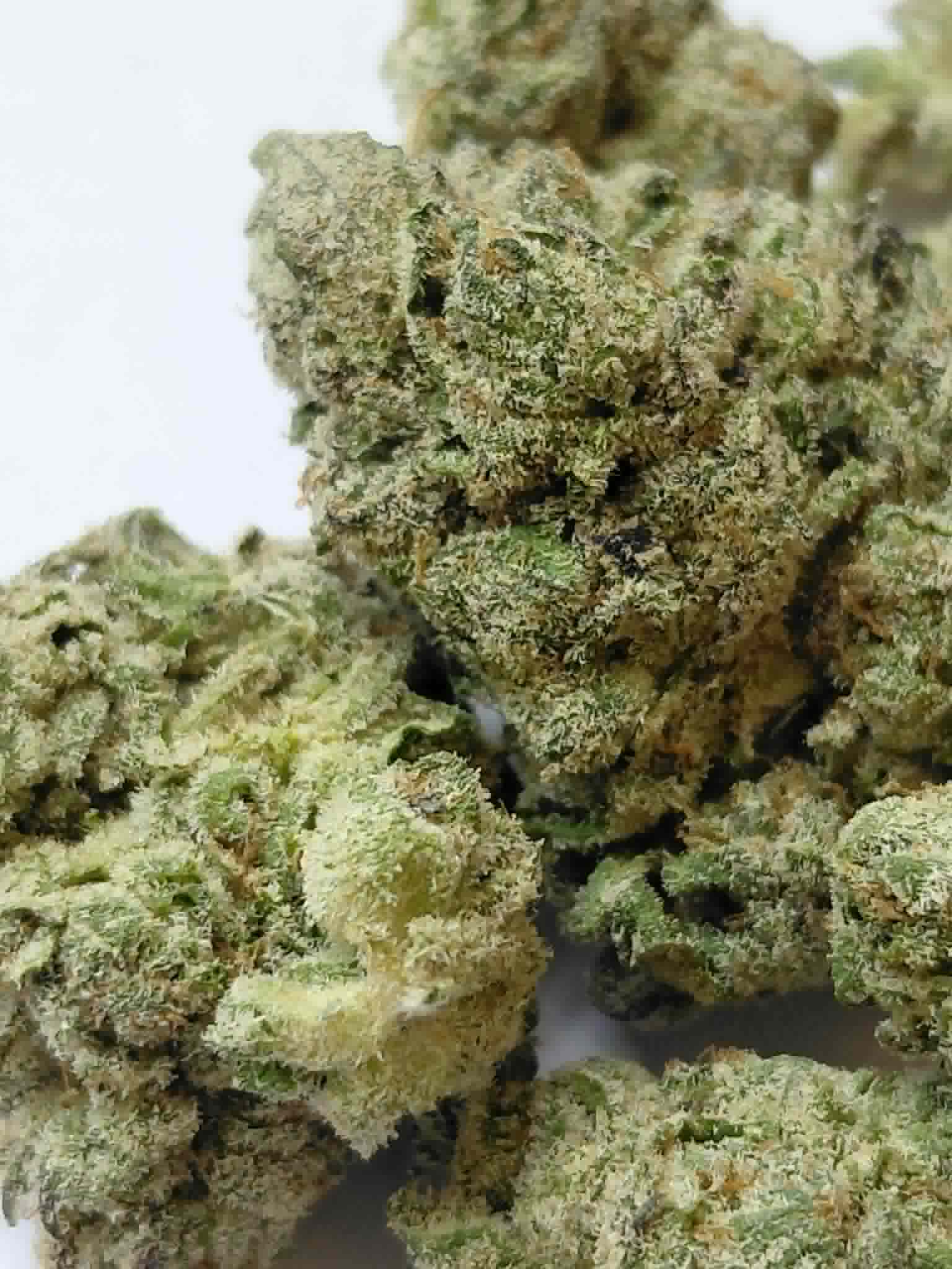 Panama Red THCA Flower