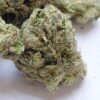 Panama Red THCA Flower