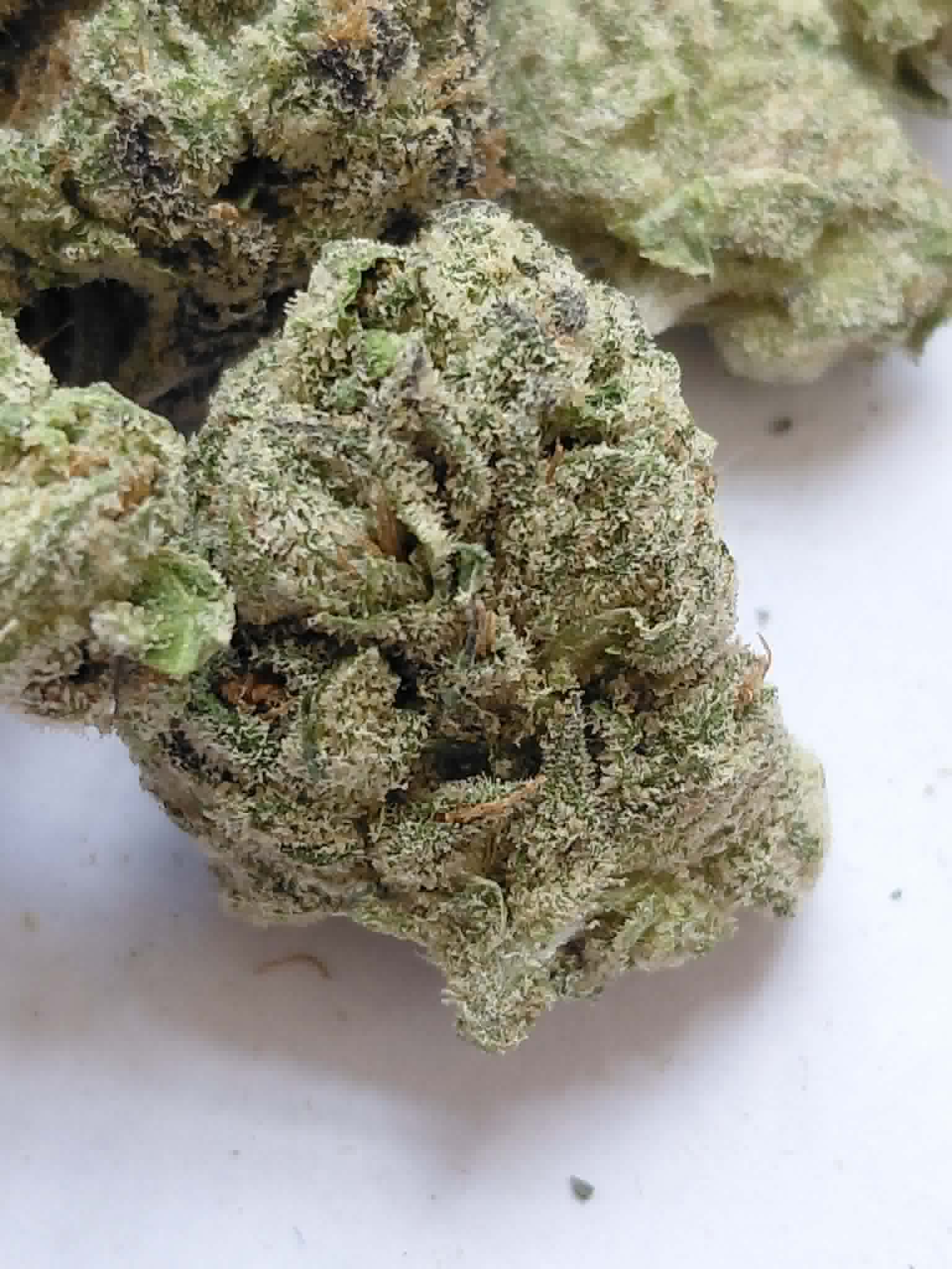 Panama Red THCA Flower