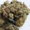 Stankasaurus THCA Flower