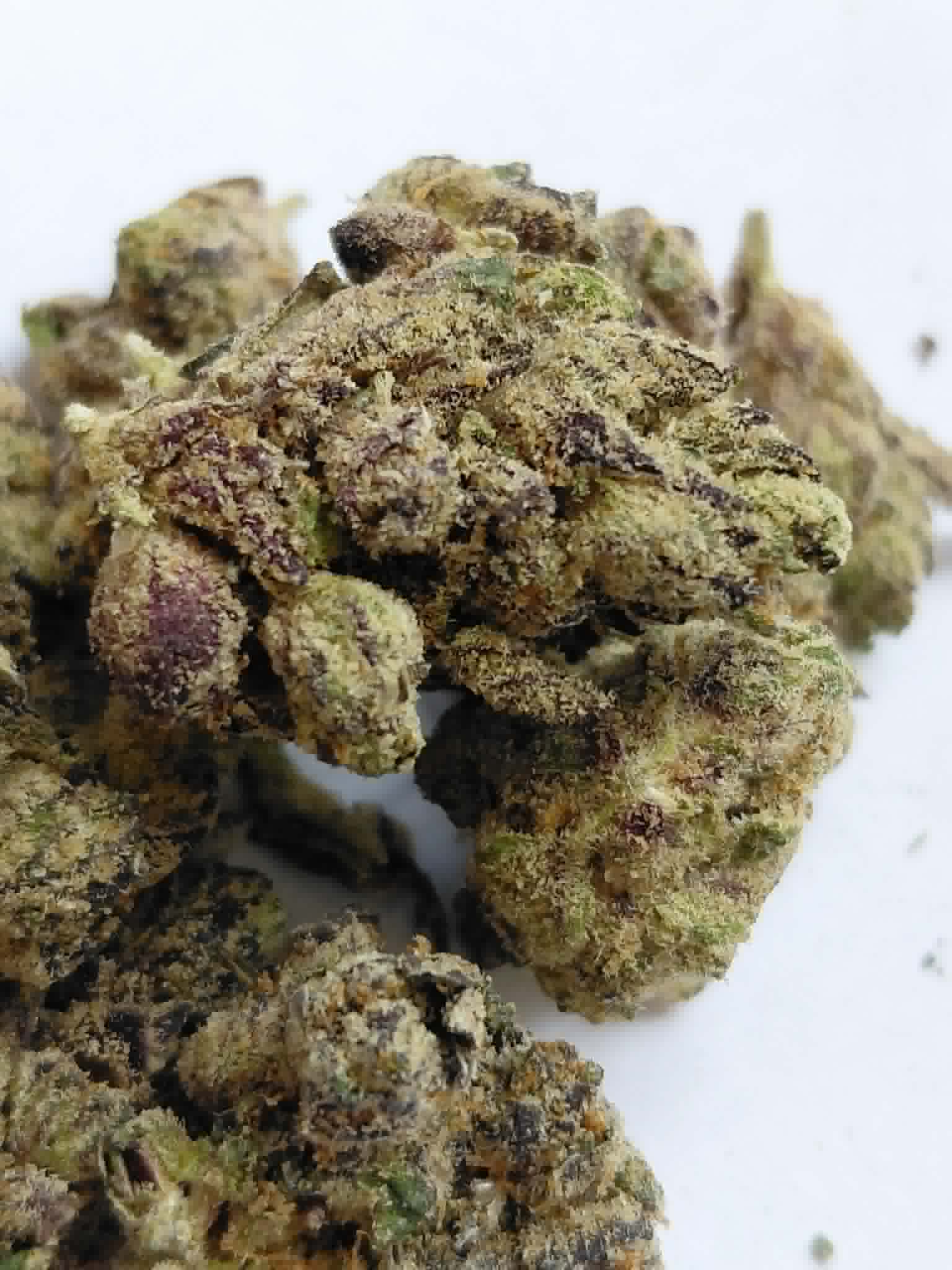Stankasaurus THCA Flower