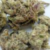Stankasaurus THCA Flower