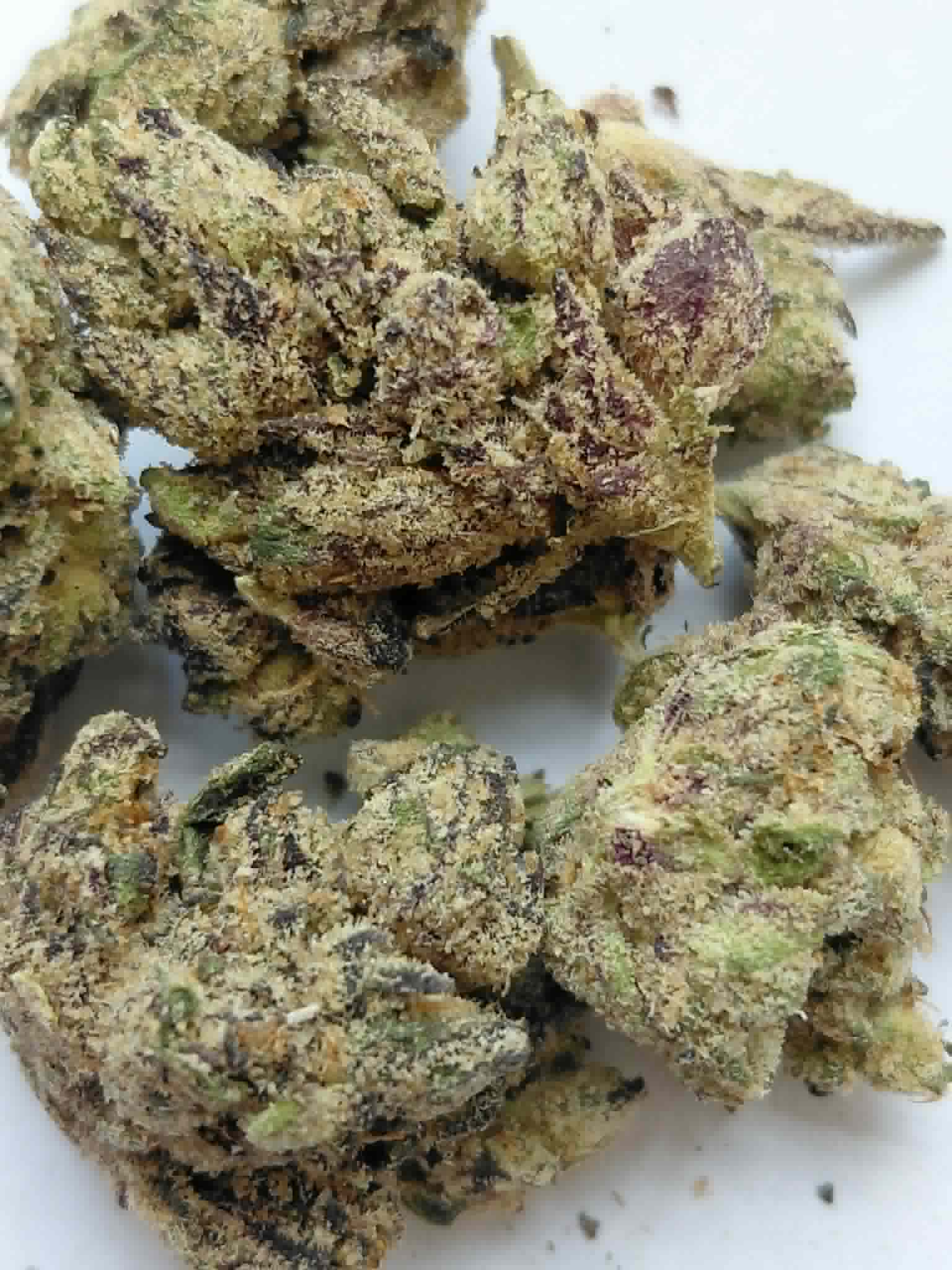 Stankasaurus THCA Flower