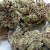 Stankasaurus THCA Flower