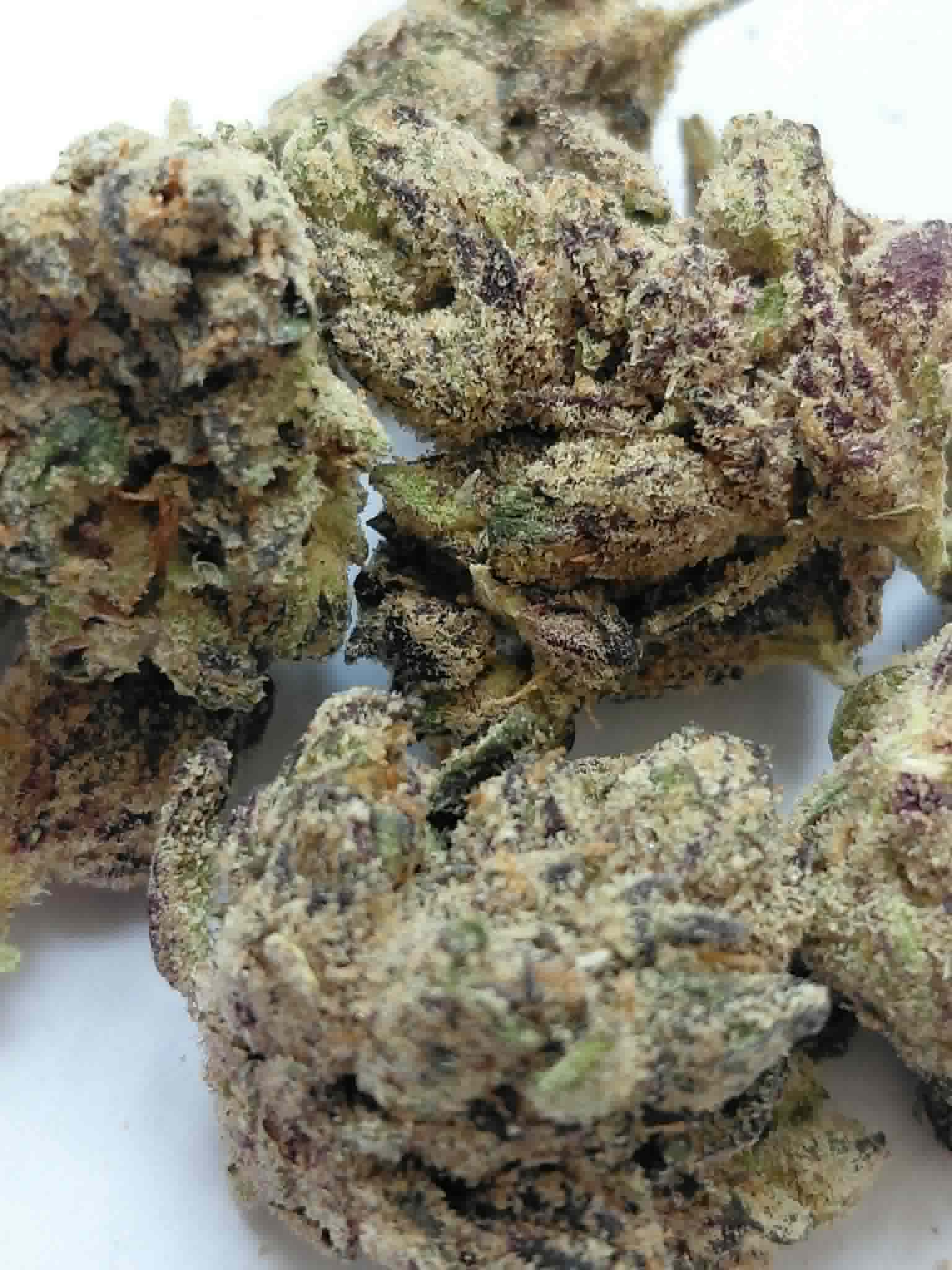 Stankasaurus THCA Flower