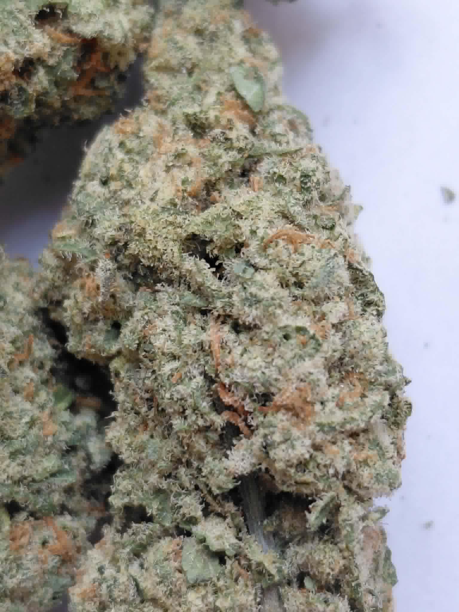 Strawberry Cough THCA Flower