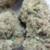 Strawberry Cough THCA Flower