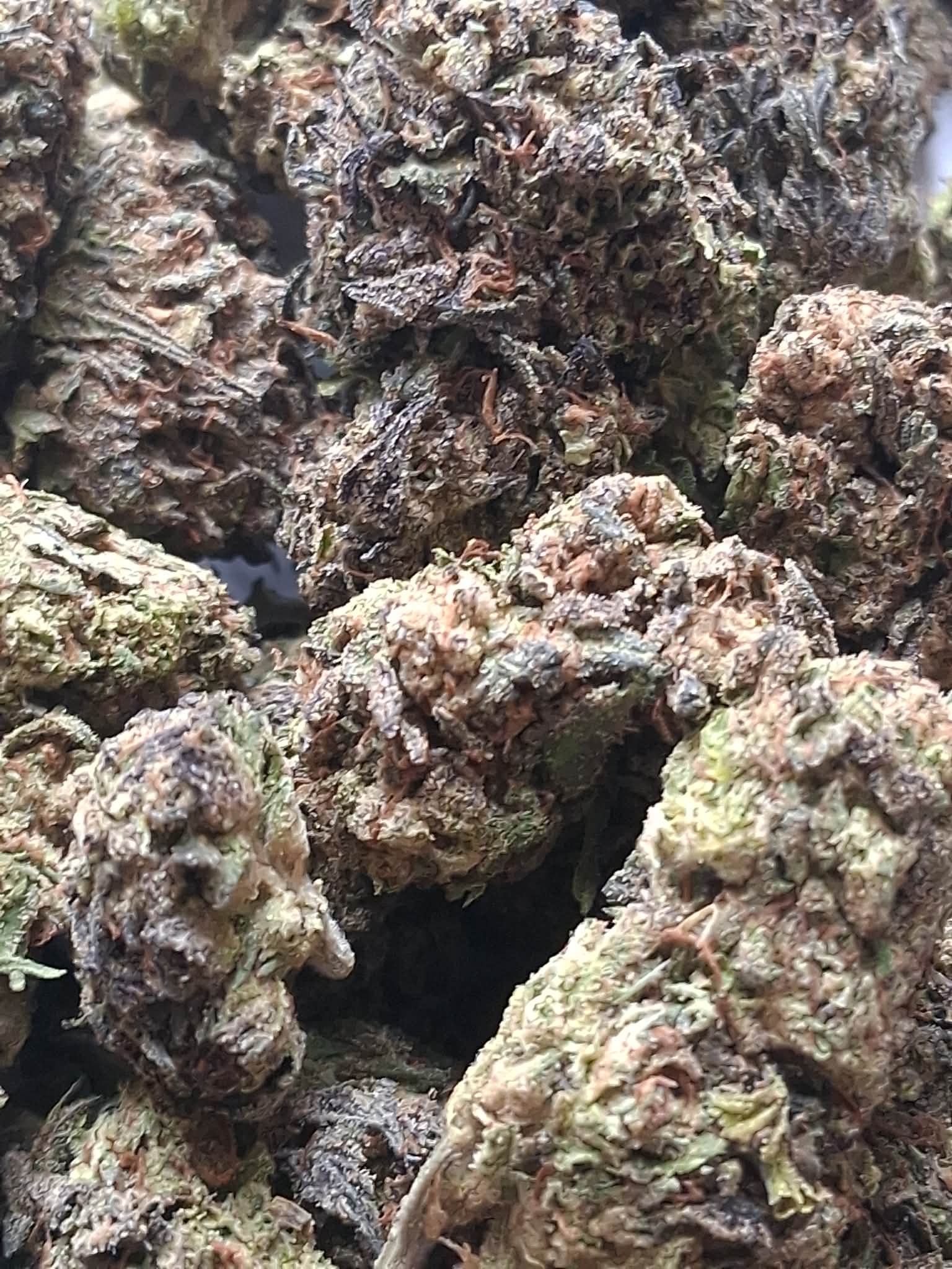 Strawberry Mimosa pics (1) Strawberry Mimosa THCA Flower