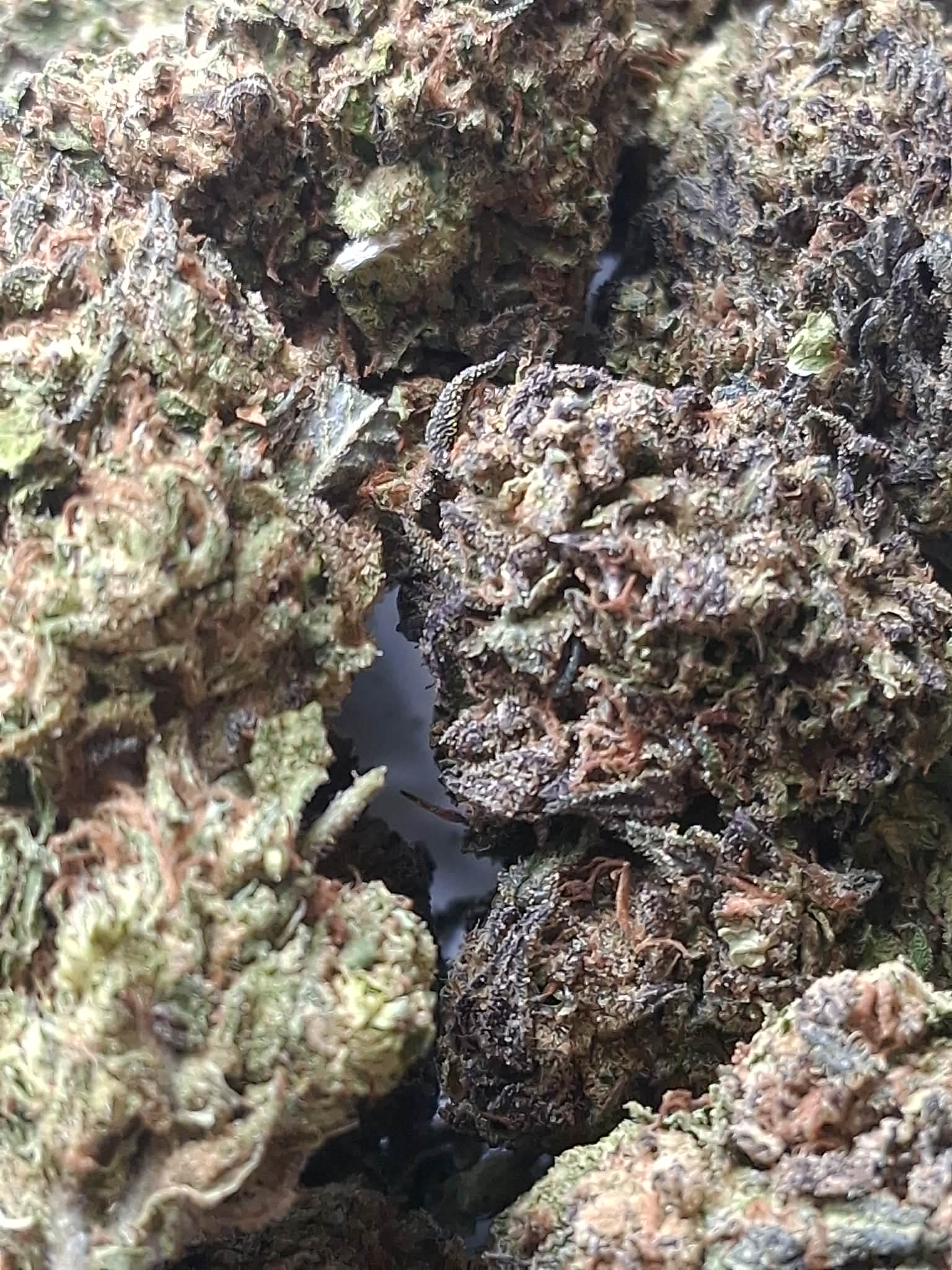 Strawberry Mimosa pics (2) Strawberry Mimosa THCA Flower